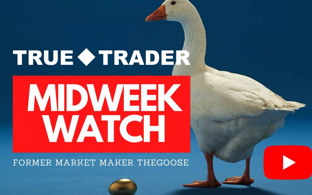 Midweek Watch with Former Market Maker TheGoose – $OSTK, $ANF, $OKE, $CRWD, $RVLV, $SPCE, $CLF, $PTON, $BBBY, $PINS